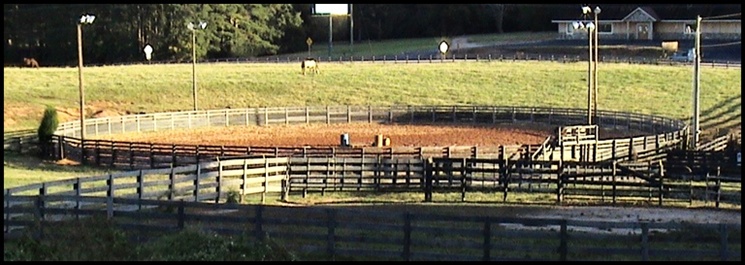 Little Creek Quarter Horses -- 160' Round Arena